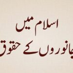 Islam-mein-jaanwaron-ke-huqooq